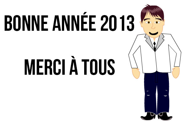 Bonne année 2013 !!