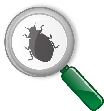 Recherche de bug