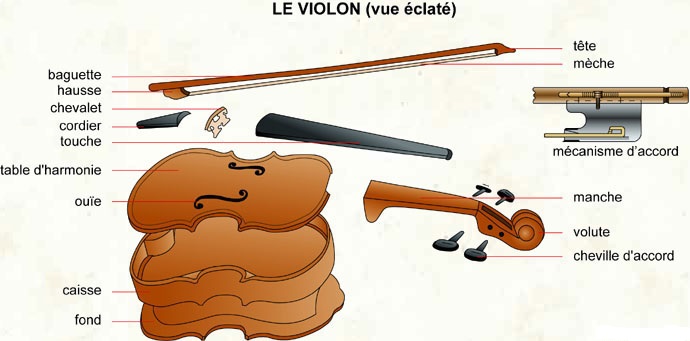 EclatÃ© de violon
