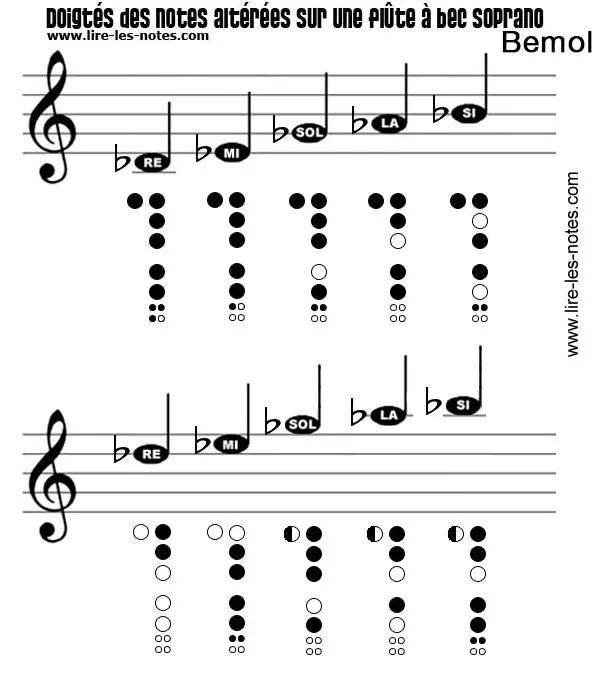 Les notes sur une flute à bec