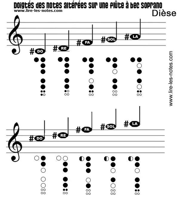 Doigtés des notes dièse de flute à bec