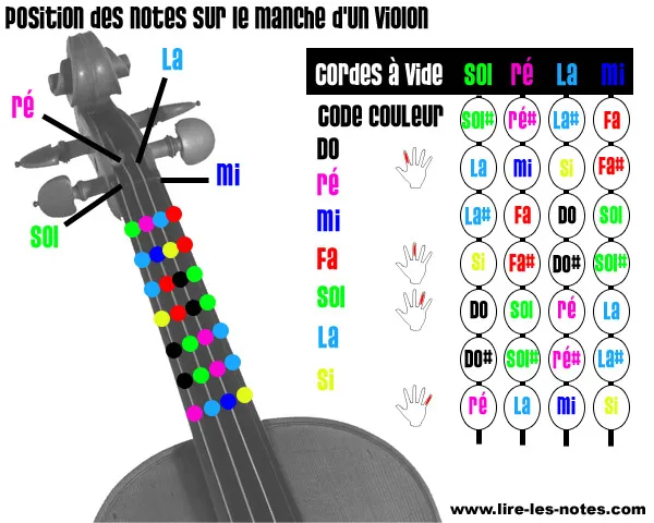 Composition des notes d'un manche de violon
