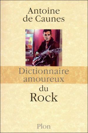Dictionnaire amoureux du Rock par Antoine de Caunes